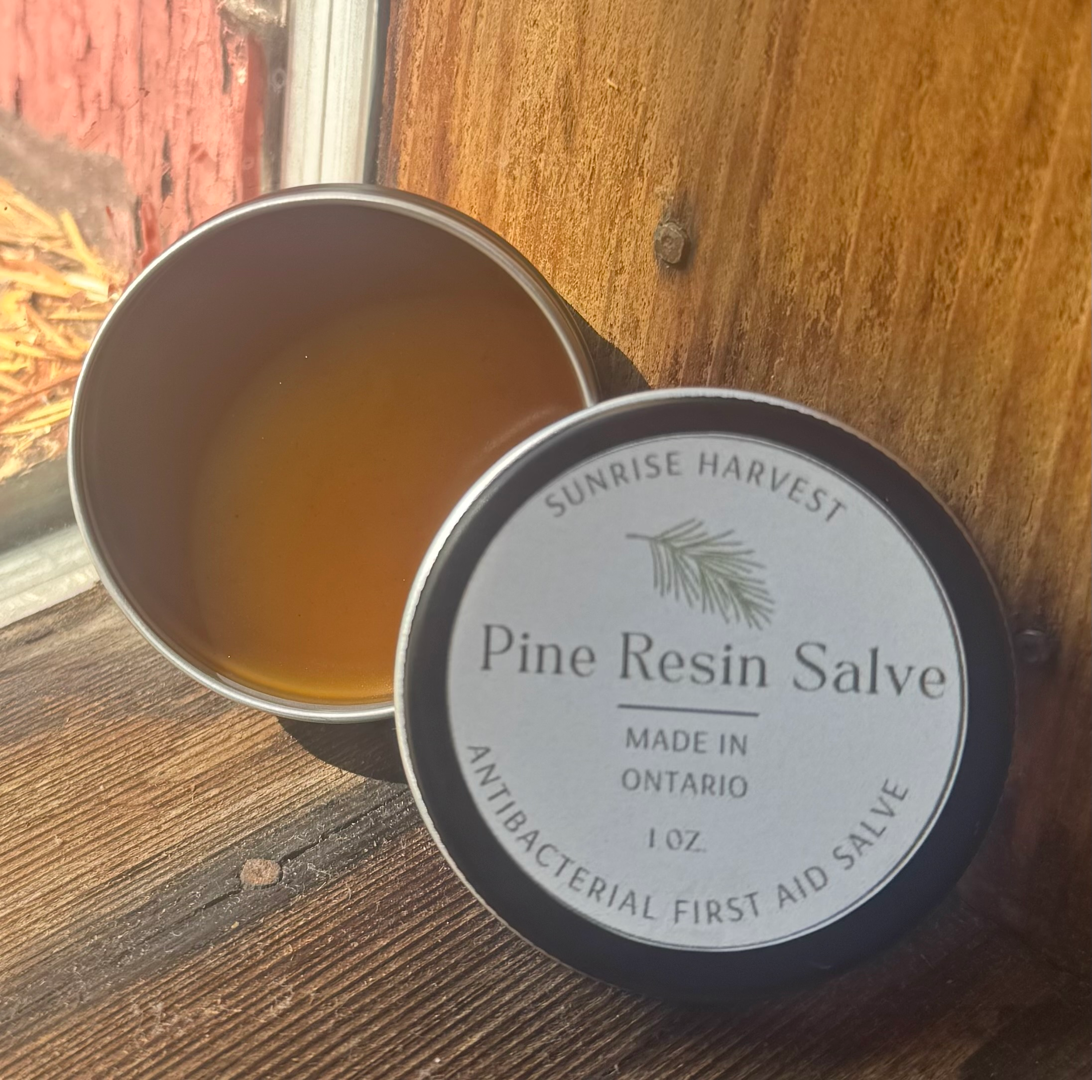 Pine Resin Salve Discover the Powerful Healing Secrets of