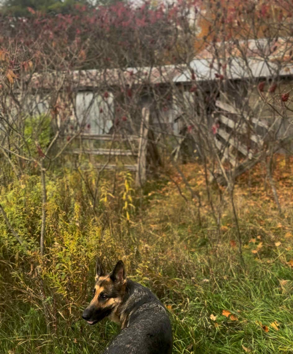 switching to natural skincare