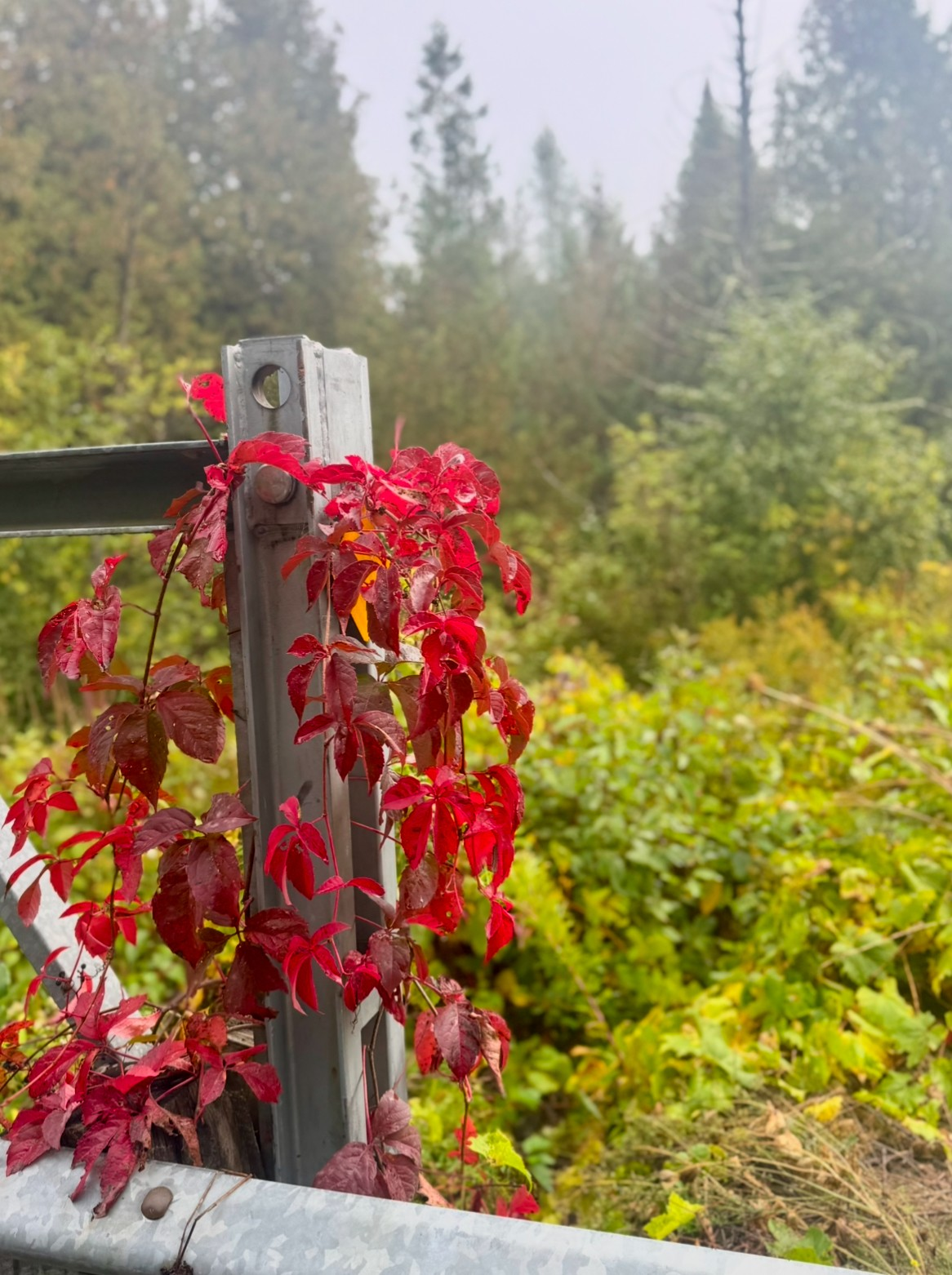 4 Easy Ways Being Mindful Transforms Everything