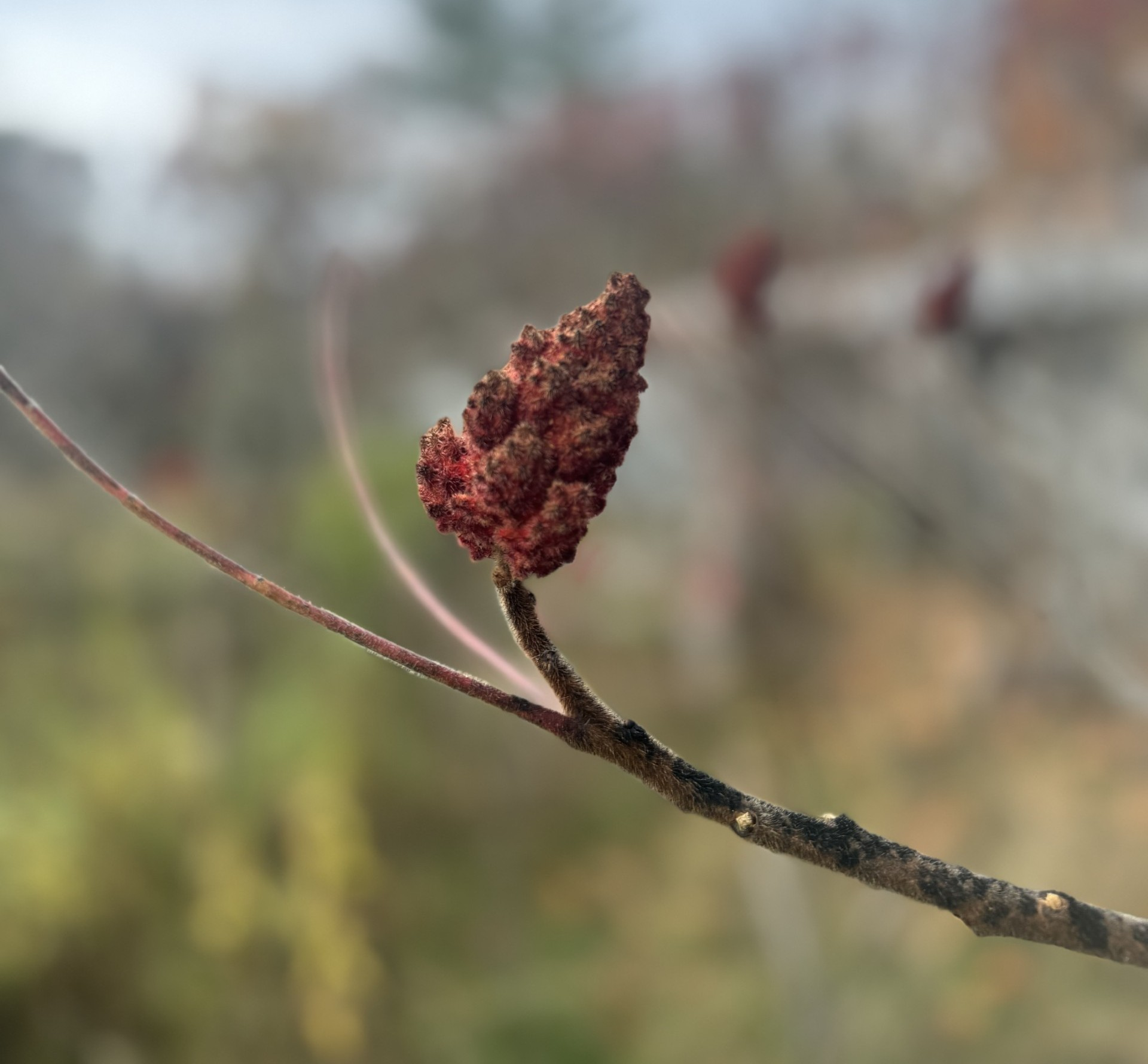 Inside Out Beauty : How to Improve Skin and Hair Naturally