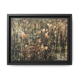 Fall Grassland Matte Canvas Framed Wall Art