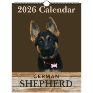 5faa1705-9b1e-42b6-a51a-8c07b91a721c