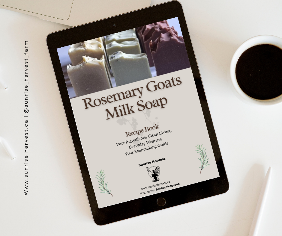 Soap Digital DOwnload